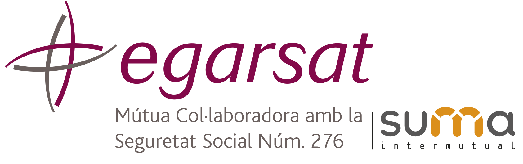 Logo_Egarsat_Suma_CAT