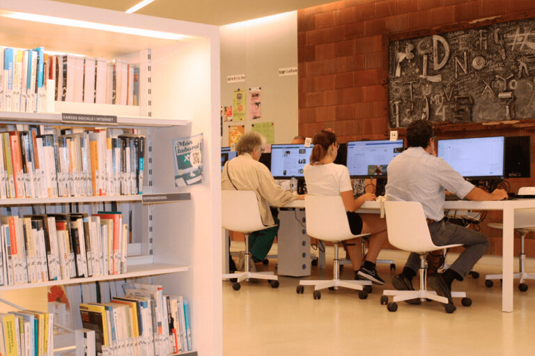 La evolución del Acceso Público a Internet: El papel de las Bibliotecas