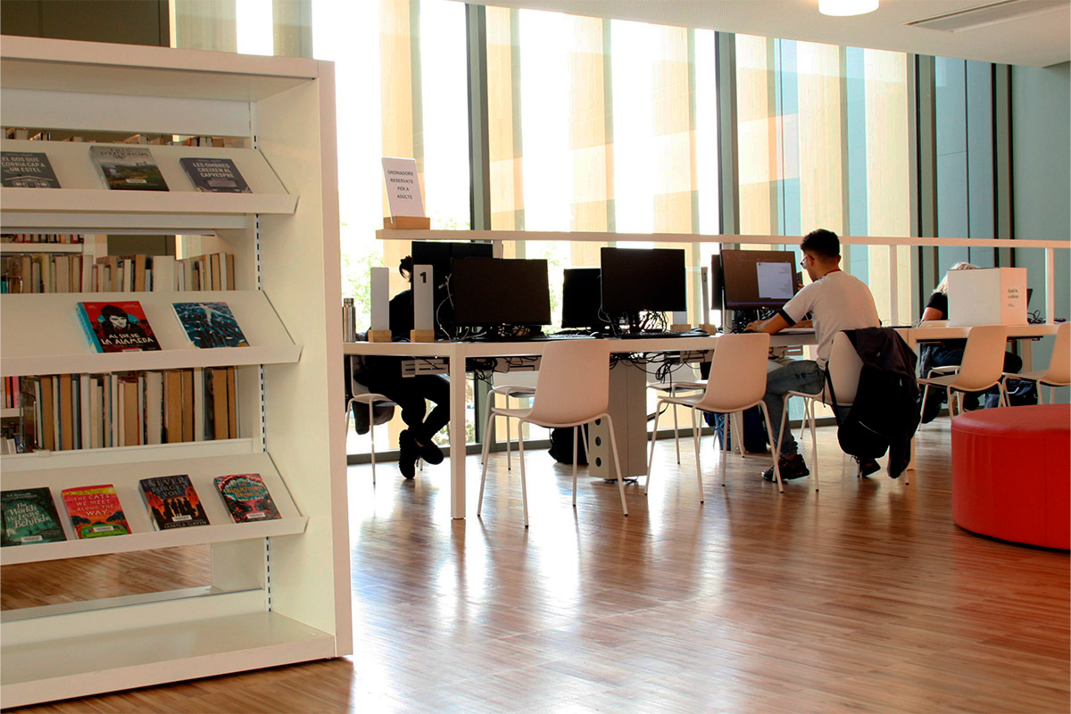 Acceso público a internet en las bibliotecas Consejos de seguridad