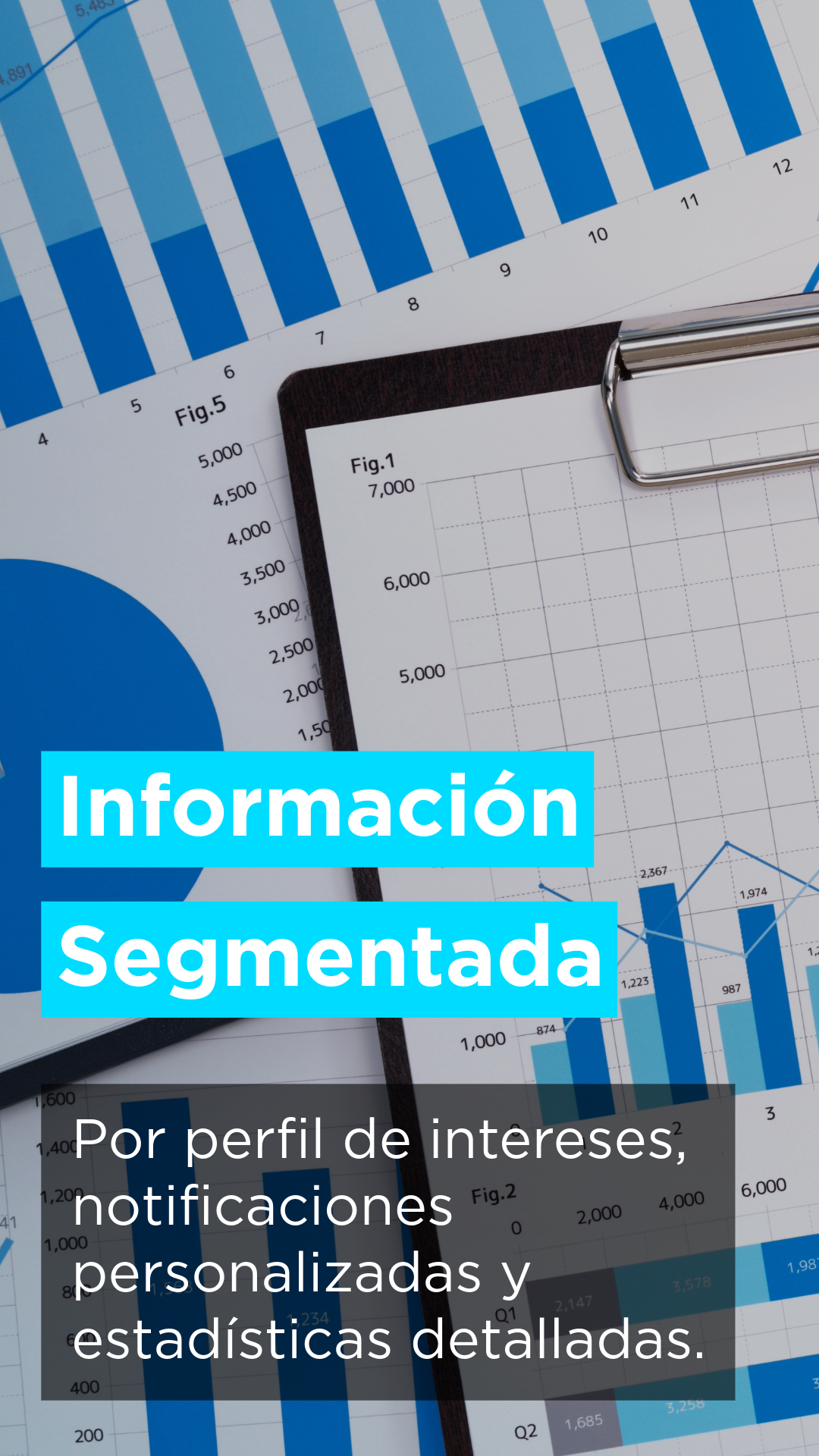 Ubime, Información segmentada