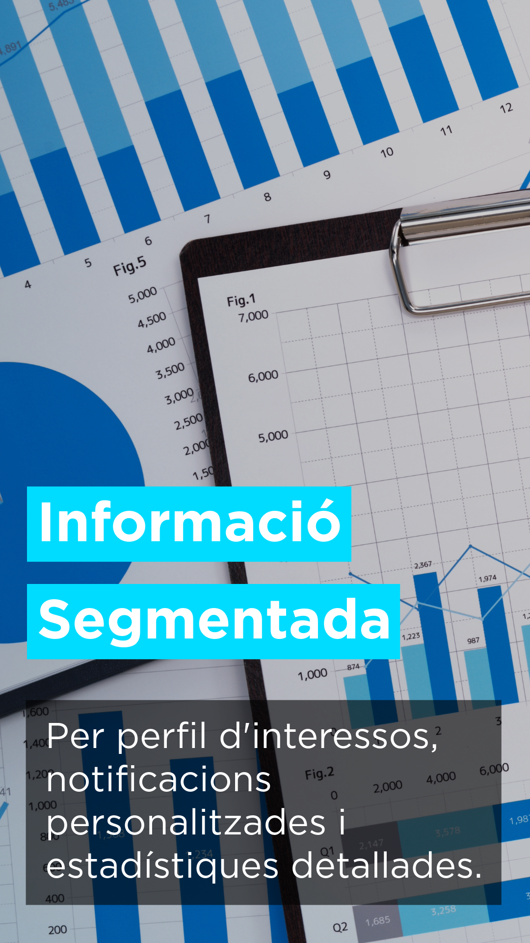 Ubime, Informació segmentada